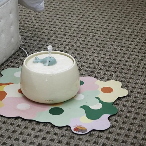 가티가티 아쿠왕