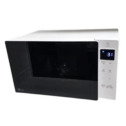 LG전자 MW20GDN 화이트
